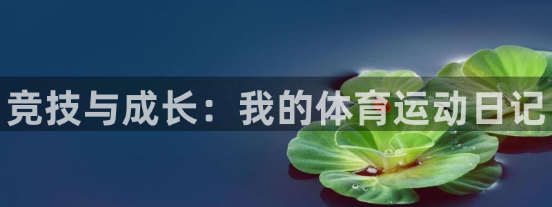 MK体育官网下载联系电话:竞技与成长:我的体育运动日记