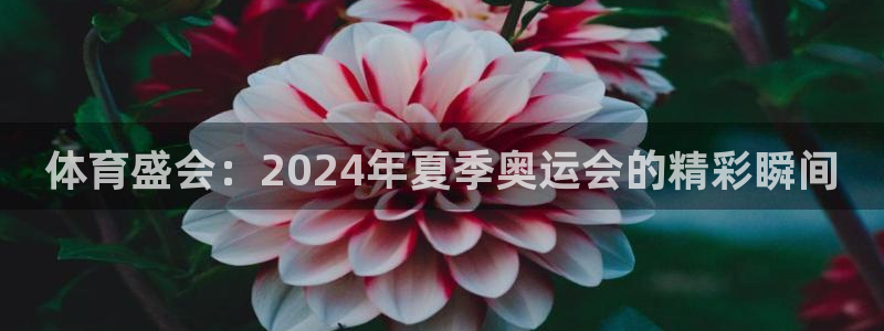 MK体育官网下载招商电话号码:体育盛会:2024年夏季奥运会
