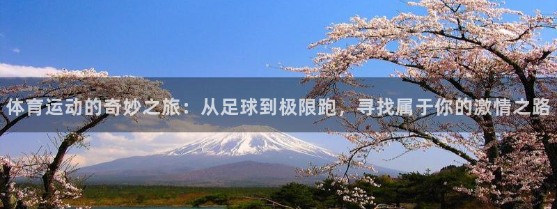 MK体育官网下载平台:体育运动的奇妙之旅:从足球到极限跑,寻